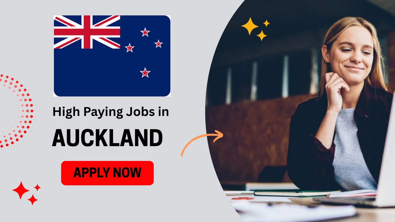 High Paying Jobs in Auckland