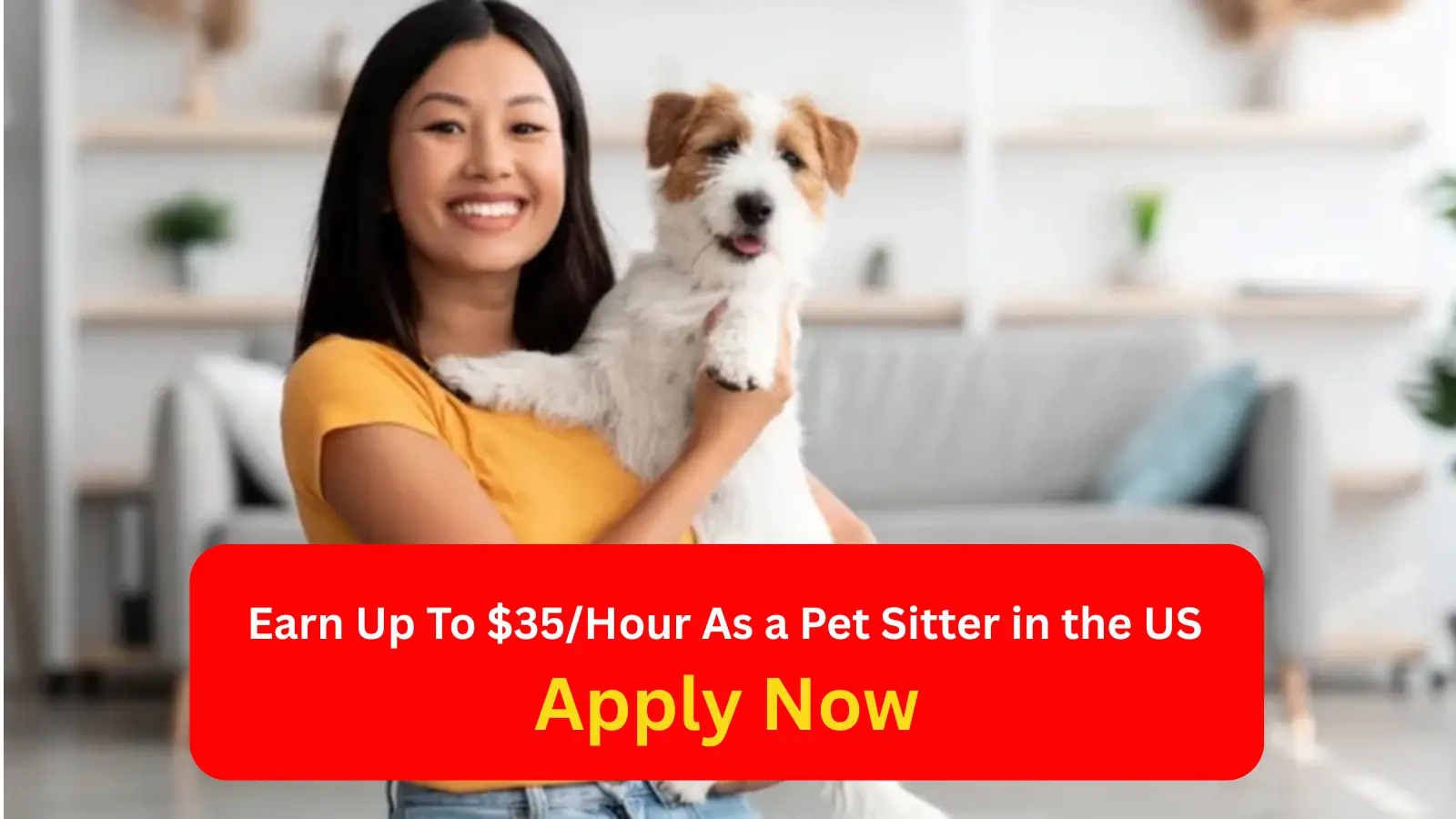 Pet Sitter in the US